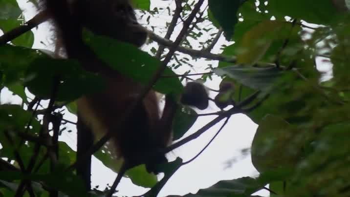 [Image: gpfr7f041fzc.jpg]