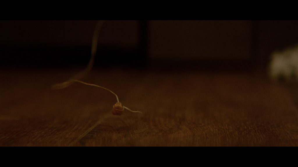 [Image: a3ykoe70h0jz.png]