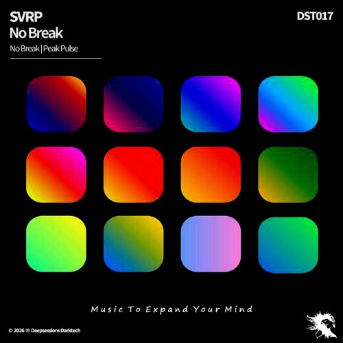 00-svrp-no-break-dst017-web-2026-cover.j