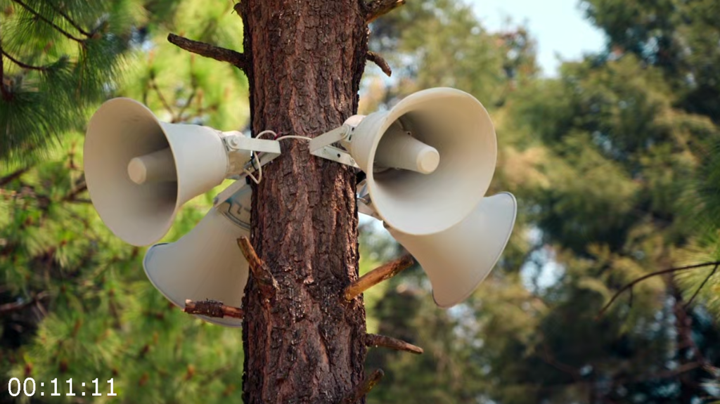 [Image: r8l22s9tqtzr.png]