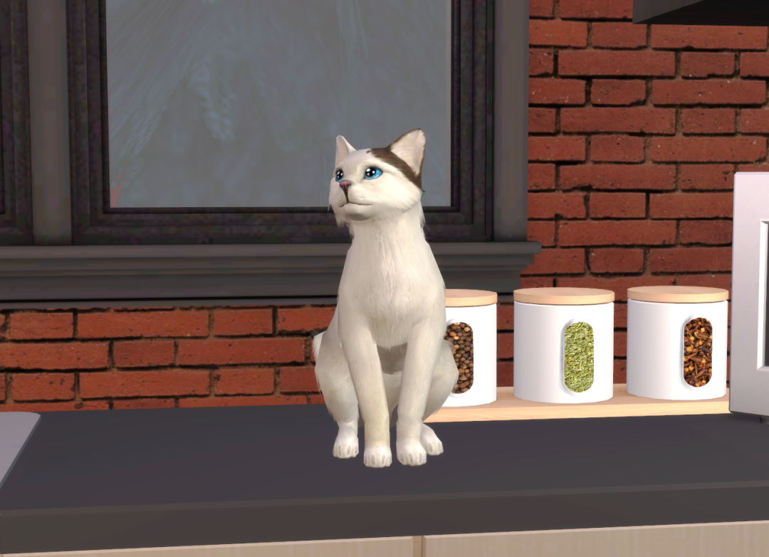 Sims2-EP9-RPC-2024-08-24-07-41-08-78