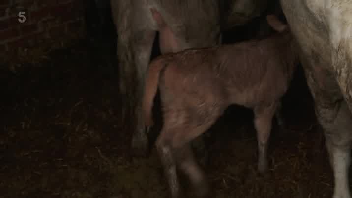 [Image: oy0he4qe7pd3.jpg]