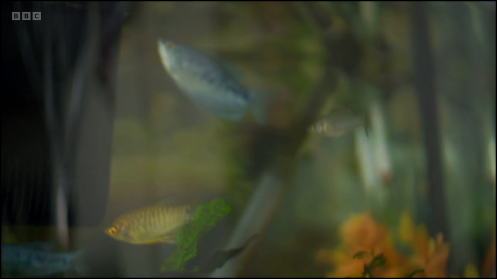 [Image: d2w6q7reh3af.png]