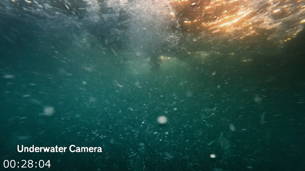 [Image: 7pbbqz3n3c8a.png]