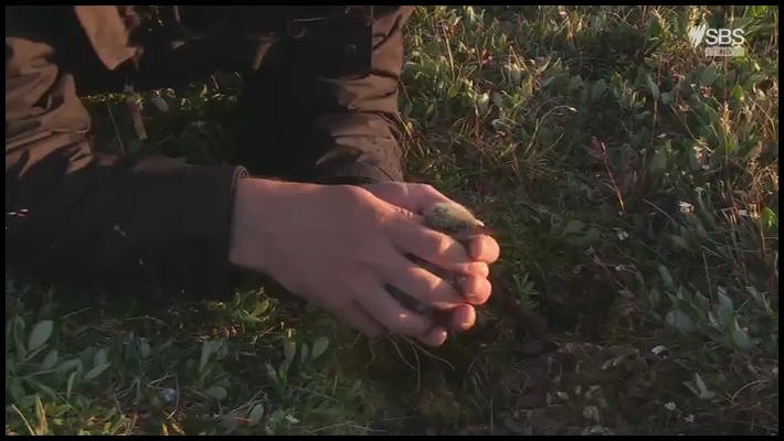 1c7g5p4tigbm.png