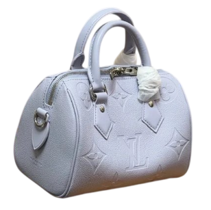 Lv Tote Bag rep find — accessory find on LitBuy Finds