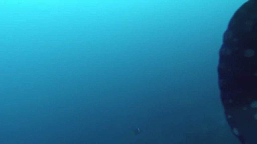 [Image: r4y5avh5hx3c.jpg]