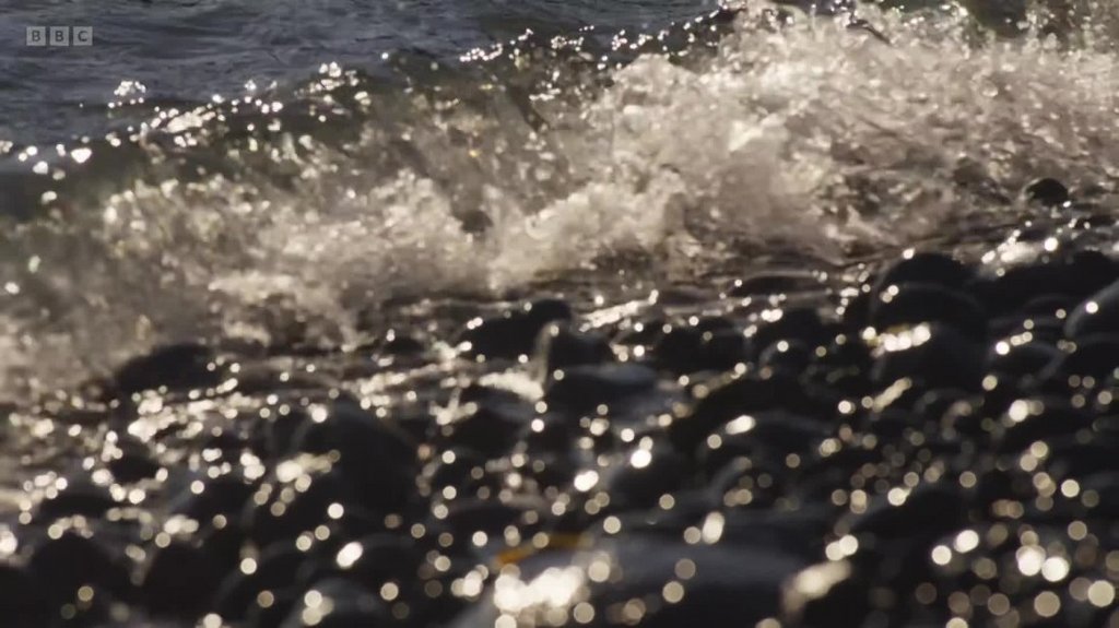 [Image: euwzlp5q74b1.jpg]