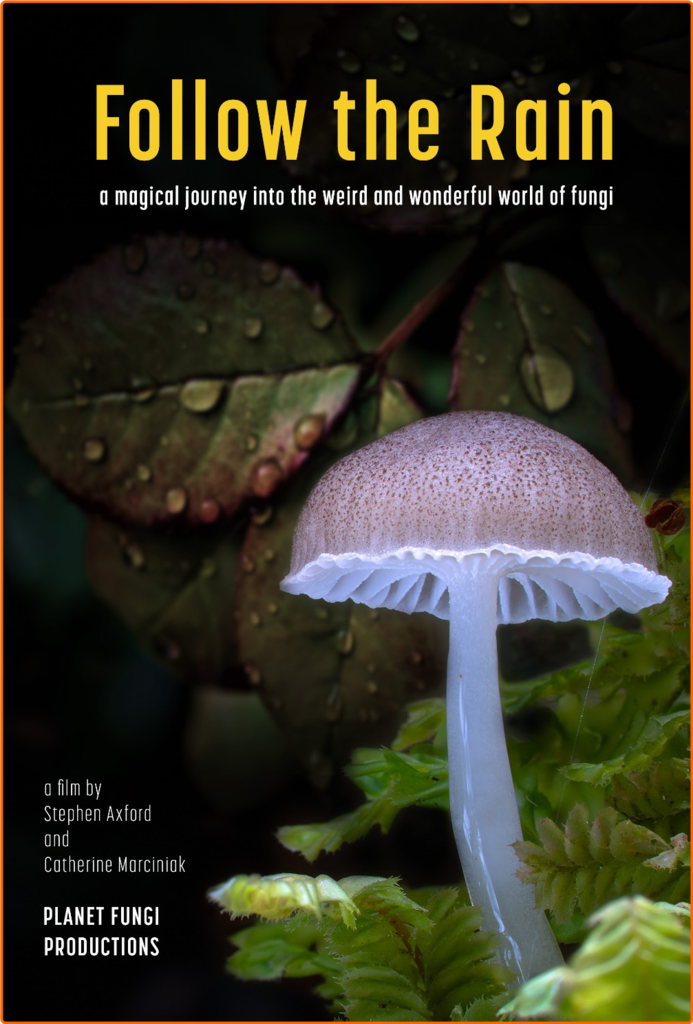 [Image: j65j4lseu5ar.png]