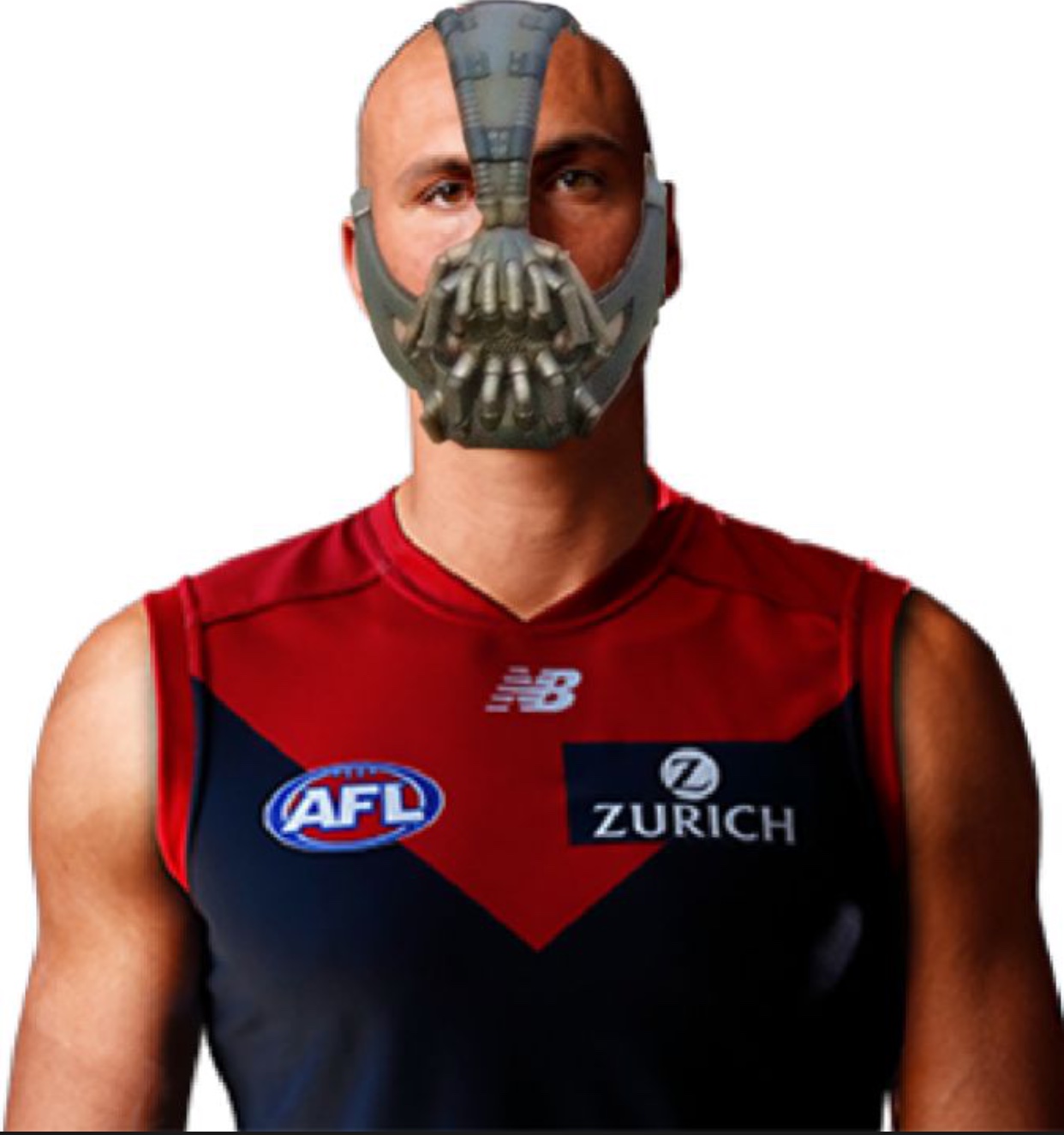 96296498-1-CC9-4754-B63-B-76-F13411-FDC6