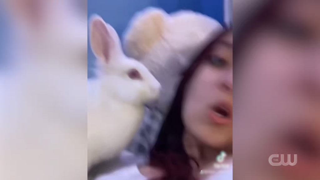 [Image: y0d6zkjh6df8.png]