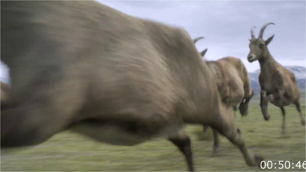 75mgifxl7jz7.png