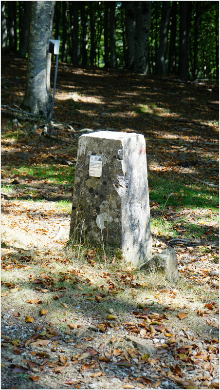 DSC08010