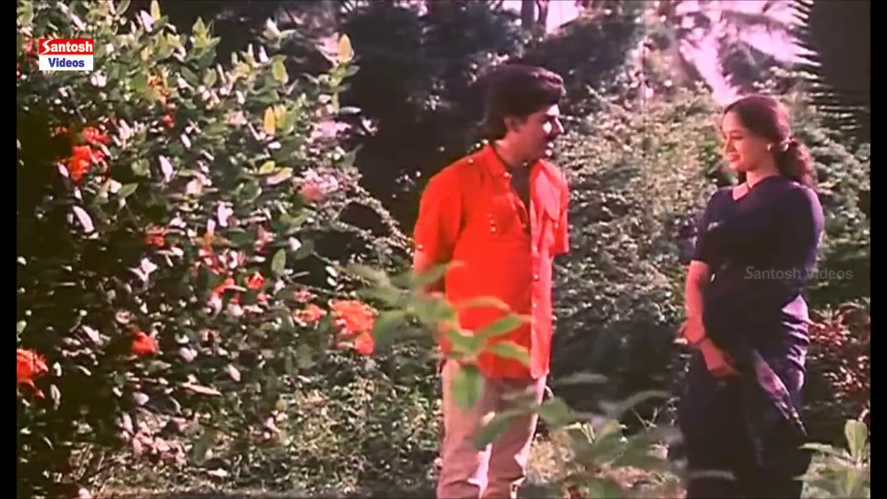 vlcsnap 2025 12 05 15h37m35s822