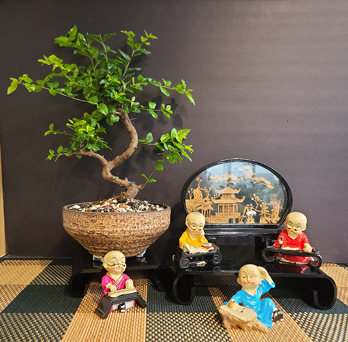 [Image: 20260425-102041.png]