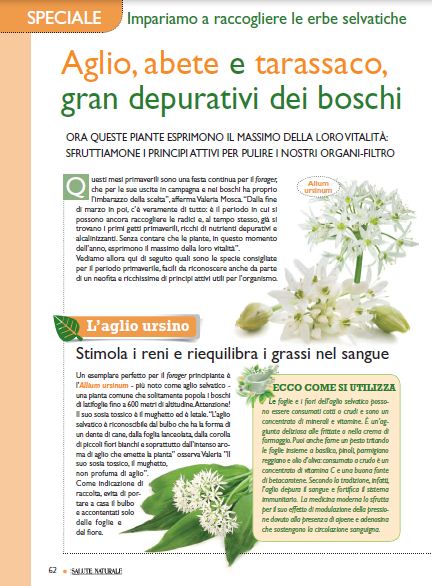 Salute Nat Apr 2020 (7)