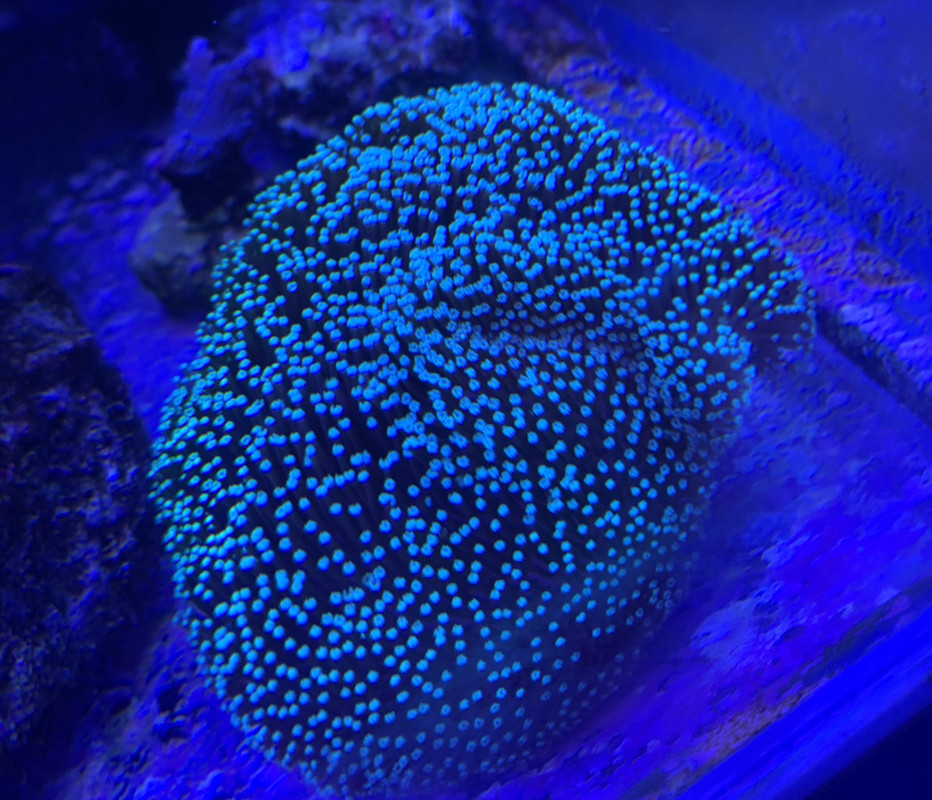 1D51D648-8A42-4820-BA18-2229AD3088A6