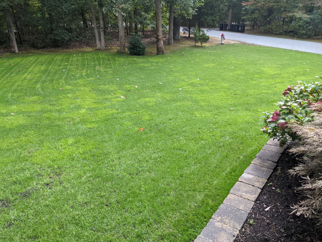 PXL_20211009_165707874