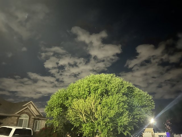 [Image: IMG-2293.jpg]