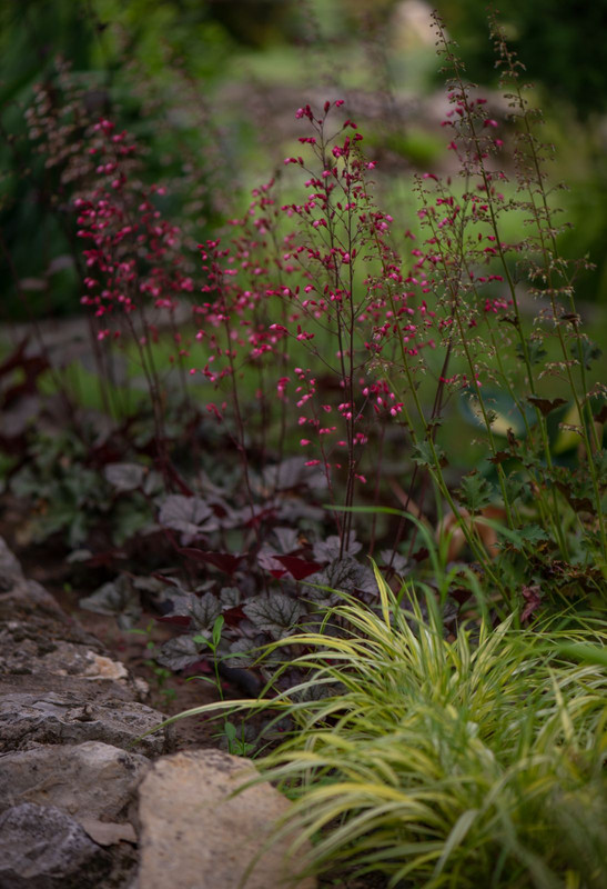 IMG-500c8e2ab88ff6c1cec974907ac52809-V