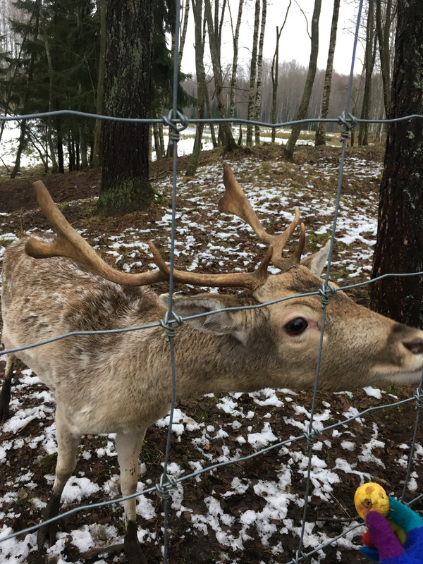 C702D1CD-3B46-400D-B6F7-F52227CFE15E