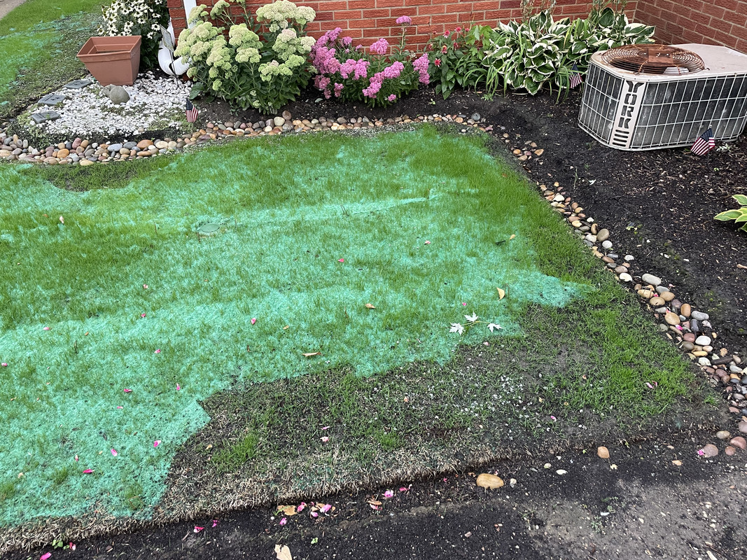 35C891EF-DBD3-4381-B6F4-2B96C79DF055