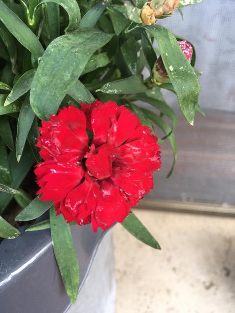 1F9536F9-AB78-4242-8F81-07B5F58367D2