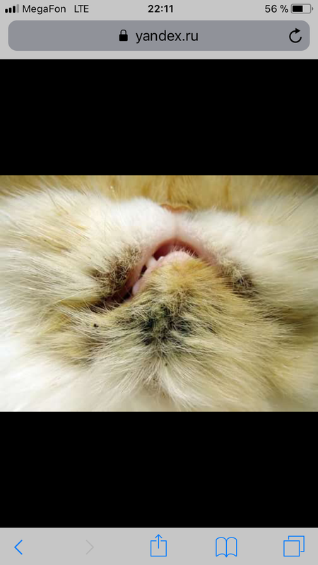 598ABAE3-2654-42EB-981A-6EEDA52A1E7D