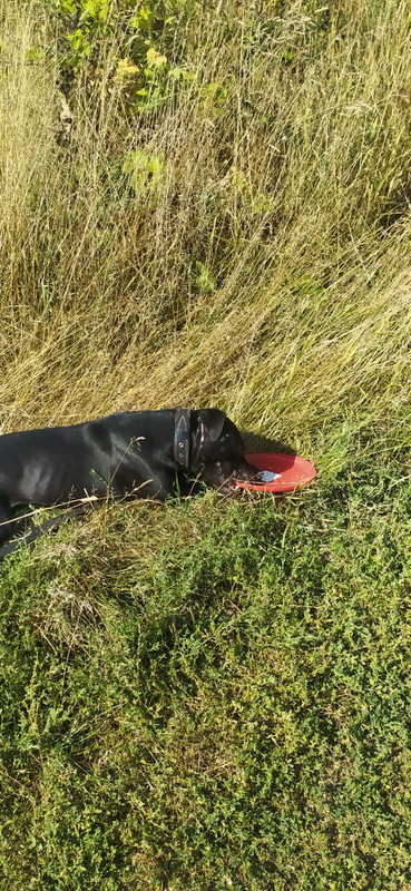 617B85EC-F361-4E94-9408-201FD57380FF