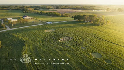 oreo-also-designed-a-cookie-themed-crop-circle-1623184845-sm.webp