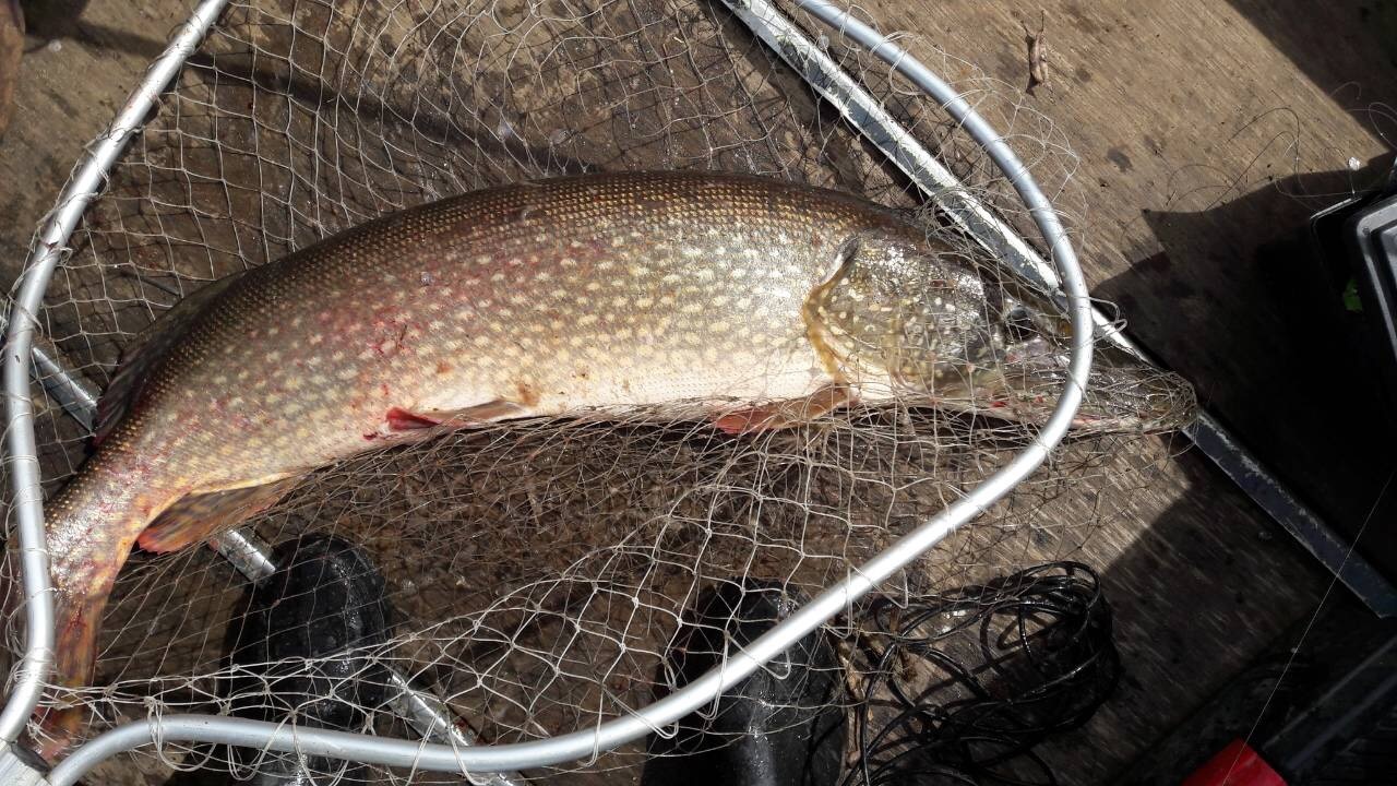 25 4 Ситников Сергей 7,2 джиг (4)