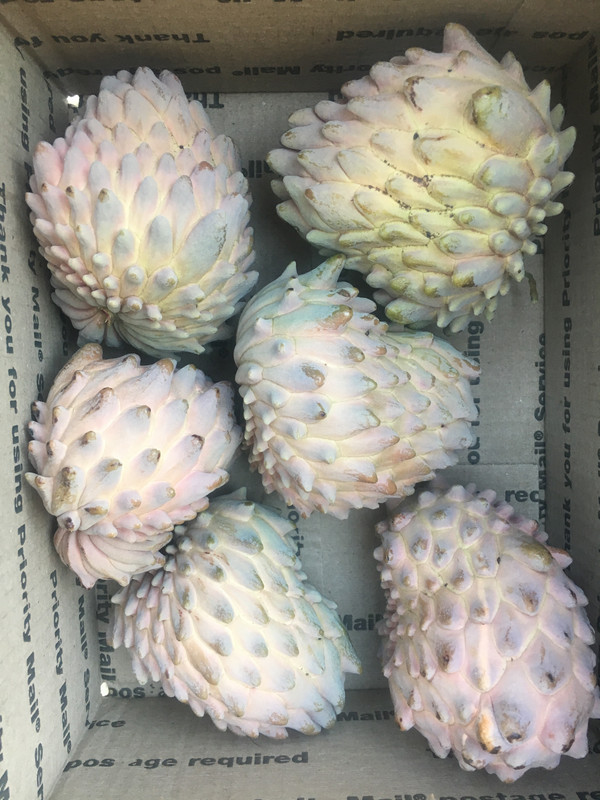 32C8B0C6-5952-45A5-AD42-CCD5559452A0