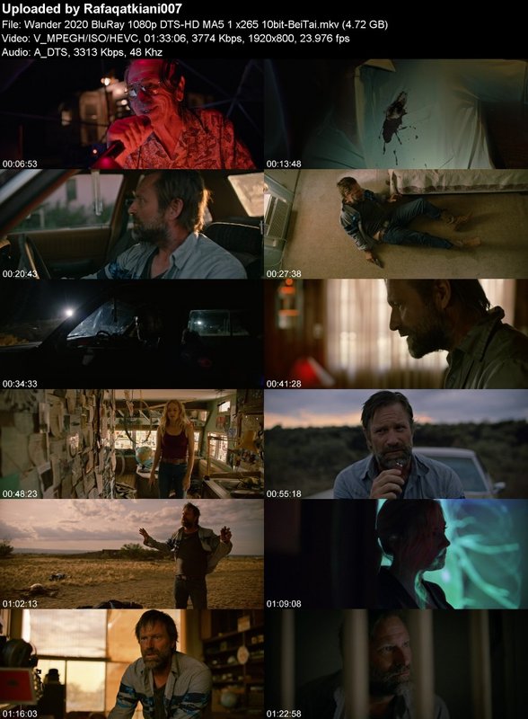 Wander 2020 BluRay 1080p DTS-HD MA5 1 x265 10bit-BeiTai