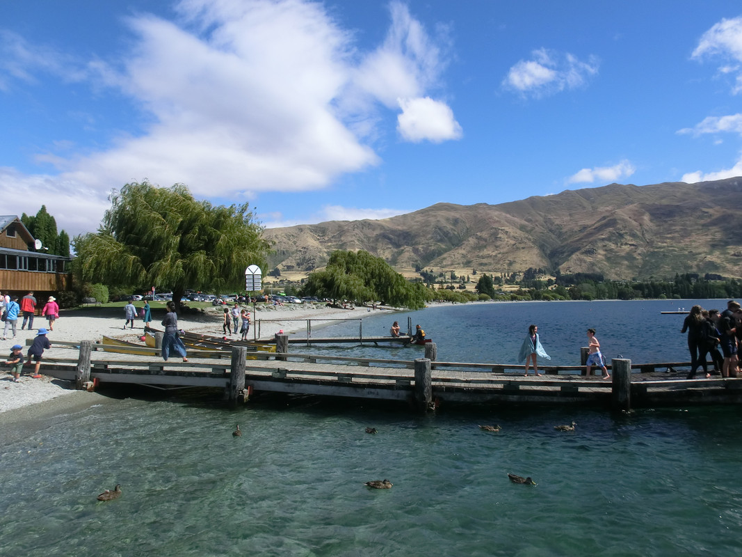 NUEVA ZELANDA , SUEÑO CUMPLIDO - Blogs de Nueva Zelanda - Te Anau – Wanaka – Haast (3)