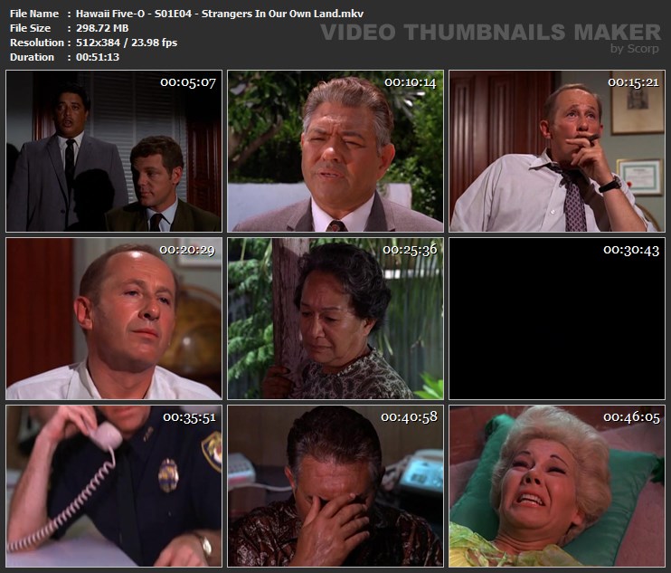 Hawaii Five-O - S01E04 - Strangers In Our Own Land.mkv