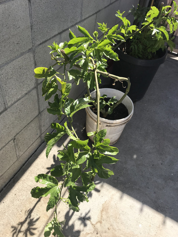 E420411D-B78E-471B-9172-D74FD77A4176