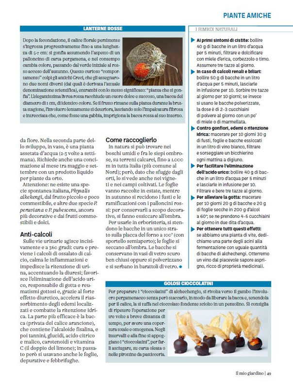 Il Mio Giar Ott-Nov 2023 (8)