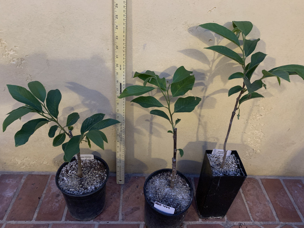 CB395B3B-FF01-4CA1-917C-1AA0ACA73E43