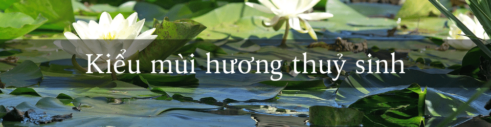 kieu-mui-huong-thuy-sinh.png