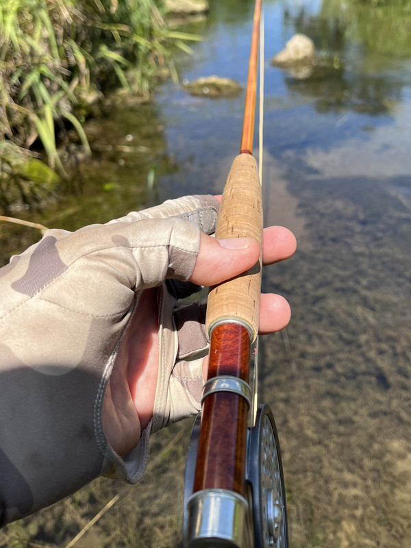 71139087424__2EF4FD02-1845-4298-A3AD-73BE3FF0A2C5