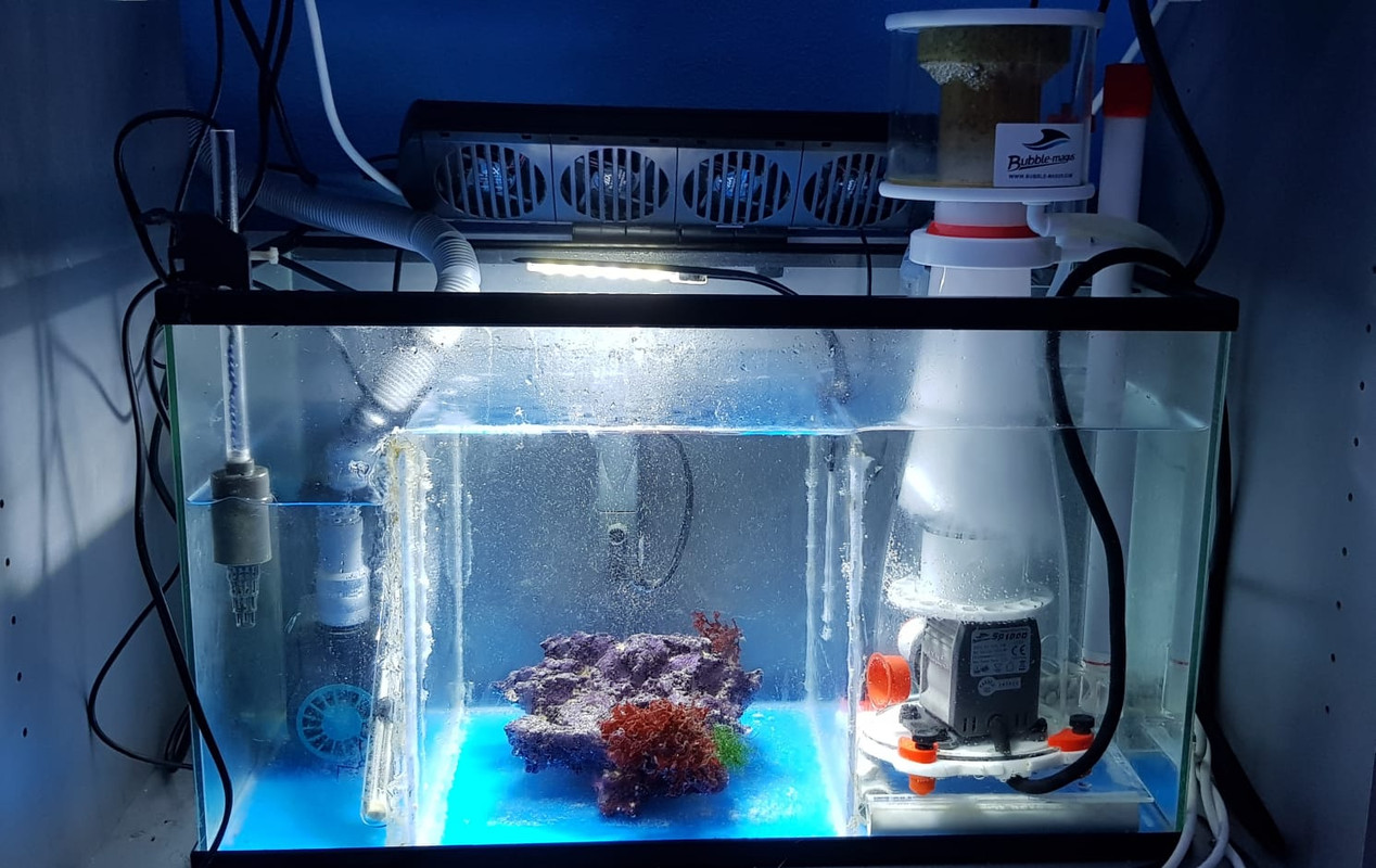 229EE4B7-FCD8-4049-9716-5DA425F316C6