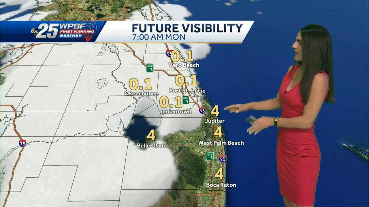 11.22 - 22.00.00 - Wpbf 25 News At 5 00.-1.m4v_snapshot_00.49.16_[2020.11.23_14.35.23]