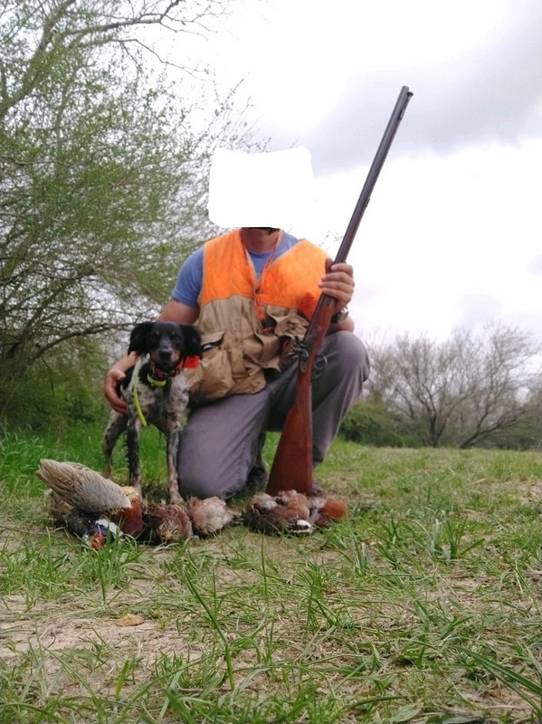 Inked-Mar-bird-hunt-LI.jpg
