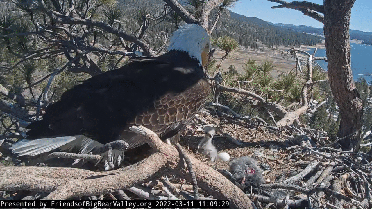 Webp.net-gifmaker (1)