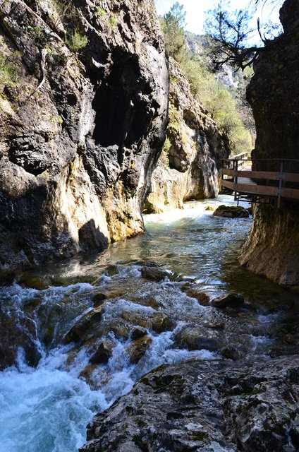 RUTA RIO BOROSA-12-3-2016-JAEN - Paseando por España-1991/2016 (53)