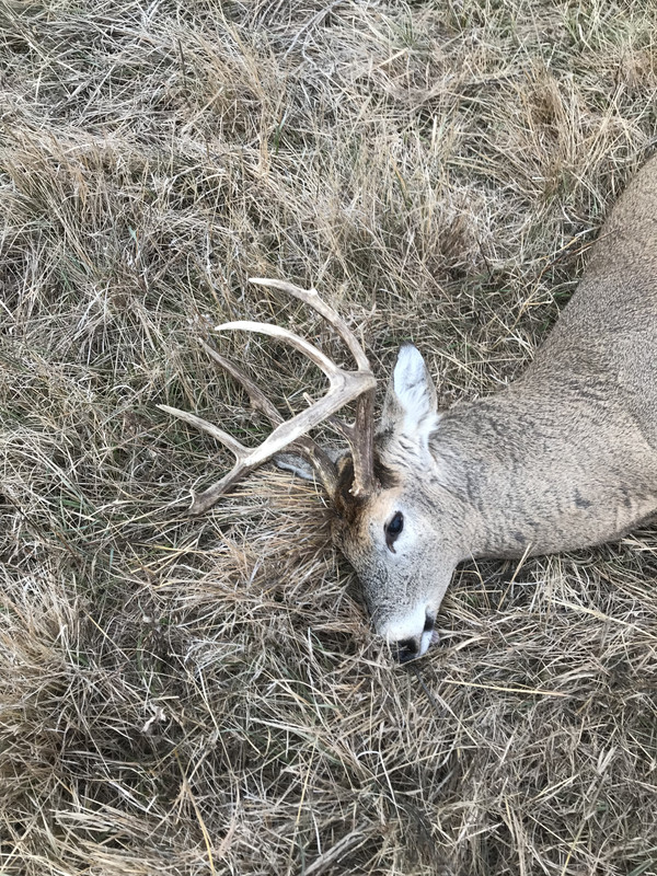 736C2407-DCD5-4159-827E-8561DC699C21