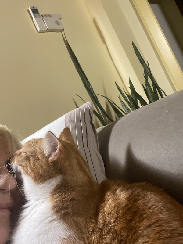 1A09A159-7A64-4076-87FB-47E6BEE95095