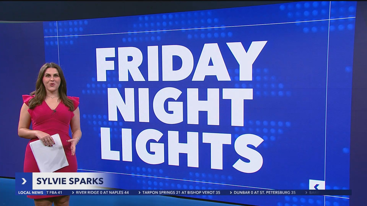 WINK News at 11_20241116_04000435.ts_snapshot_27.30.970