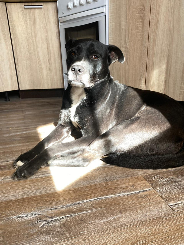 BD260B7A-19C8-4E18-982D-A926FA0094EE