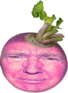 Donald Turnip